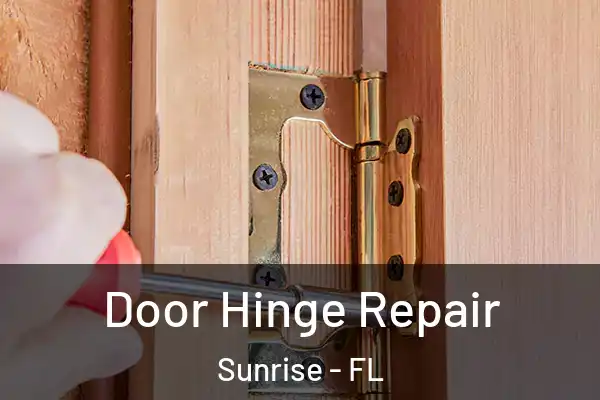 Door Hinge Repair Sunrise - FL