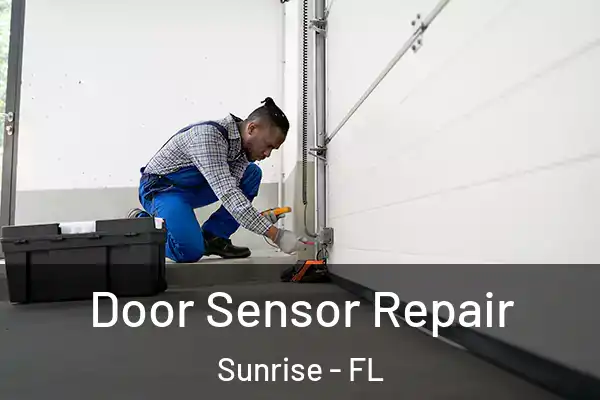 Door Sensor Repair Sunrise - FL