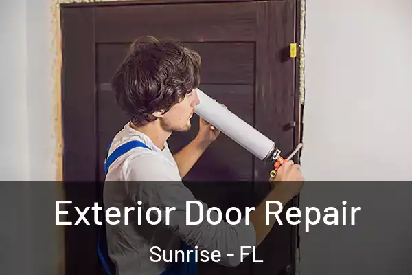 Exterior Door Repair Sunrise - FL